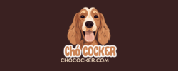 chococker.com